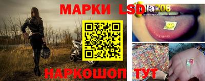 МДПВ Новодвинск