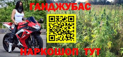 индика Новокубанск