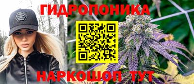 МДПВ Новодвинск