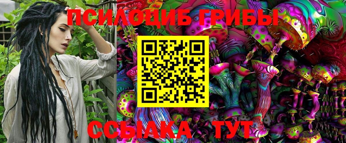 Галлюциногенные грибы MAGIC MUSHROOMS Татарск